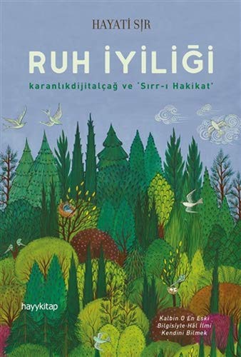 RUH IYILIGI - HAYATI SIR